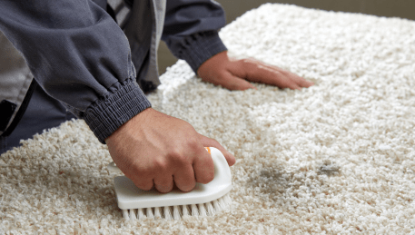 Professional Rug Cleaning Docklands